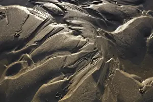 Nature Reserve Germany Prints: Irregular structures in the mud flats