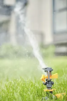 Prints of Irrigation with programmable automatic rotating sprinkler Street Art Graffiti Prints: Irrigation Print with Automatic Rotating Sprinkler