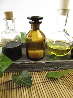 Alternative Medicine Prints: Ivy in Naturopathy Print