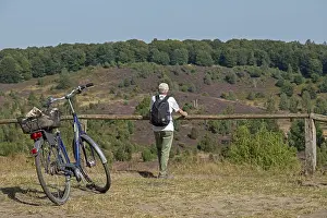 German Nature Preserve Prints: Juniper (Juniperus communis), bicycle