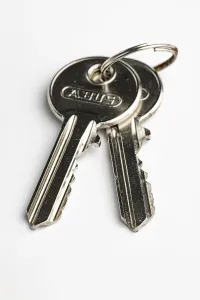 Light Colored Background Prints: Key ring with two keys on a key ring