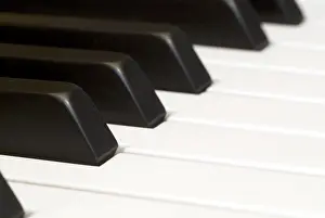 Black And White Studio Photo Prints: Keyboard