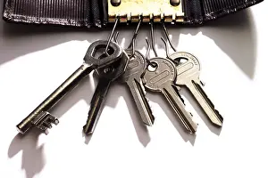 Live Studio Shot Prints: Several keys