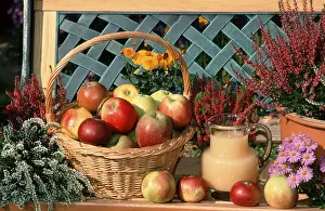 Food Photography Formats Prints: Several kinds of apple