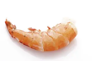 Prints of King Prawn King Prawn Prints: King Prawn Print by imageBROKER
