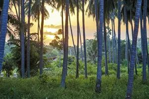 Southeast Asian Landscapes Prints: Koh samui