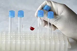 No People In Lab Prints: Laboratory