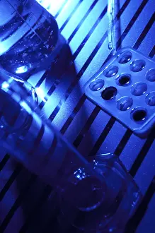 Laboratory Flask Prints: Laboratory