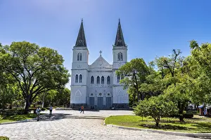 Historic City Center Brazil Prints: Our Lady of the Conception Cathedral