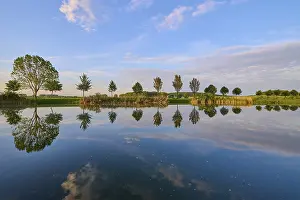 Germany Historic Landmark Prints: Lake in spring with row of trees and reflection