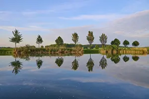 Germany Historic Landmark Prints: Lake in spring with row of trees and reflection