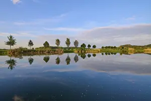 Thuringia Landscape Photography Prints: Lake in spring with row of trees and reflection
