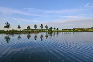 Deserted Fortification Architecture Prints: Lake in spring with row of trees and reflection