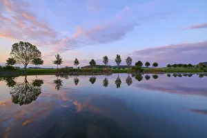 Evening Sun In Germany Prints: Lake in spring with row of trees and reflection at sunset