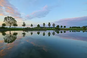 Thuringia Germany Landscape Photography Prints: Lake in spring with row of trees and reflection at sunset