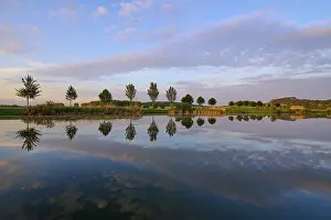 German Castle Landscape Prints: Lake in spring with row of trees and reflection at sunset