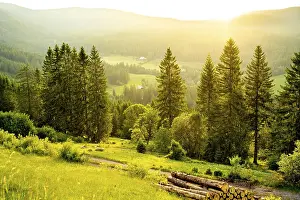 Schwarzwald Scenic Views Prints: Landscape in the evening backlight with meadows and forest