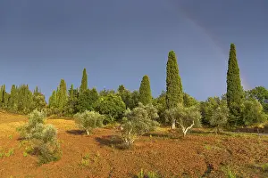 Deserted Countryside View Prints: Landscape in the evening light