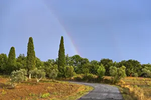 Dramatic Evening Atmosphere Prints: Landscape in the evening light