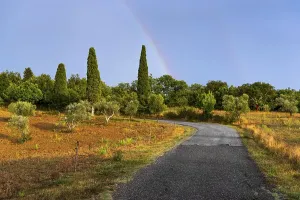 Nature Landscape Images Prints: Landscape in the evening light