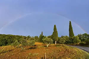Sunset In The Countryside Prints: Landscape in the evening light