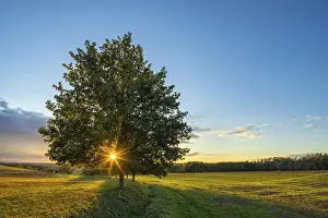 Germany Agricultural Scenery Prints: Landscape with fields at sunset
