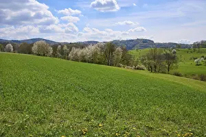 German Landscape Prints: Landscape, low mountain range, spring