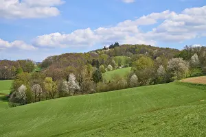German Landscape Prints: Landscape, low mountain range, spring