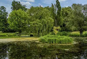 Lower Oder Valley National Park Prints: Landscape in the Lower Oder Valley National Park