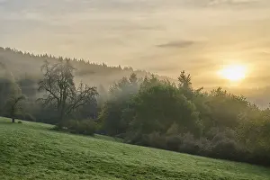Odenwald Forest Scenery Prints: Landscape, meadow, forest, clouds