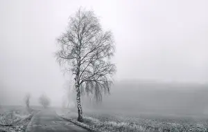 Misty Mood Photography Prints: Landscape in the mist
