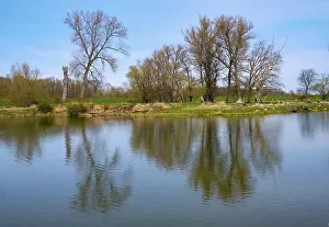 East Germany Scenery Prints: Landscape on the river Oder in spring