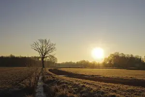 Winter Time Landscape Photo Prints: Landscape, Tree, Sun, Winter, Light mood
