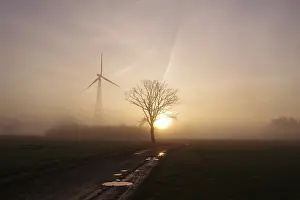 Environmental Protection Through Wind Energy Prints: Landscape, tree, wind generator