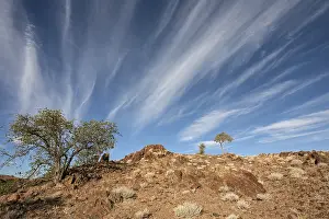 Twyfelfontein Landscape Prints: Landscape with trees and clouds