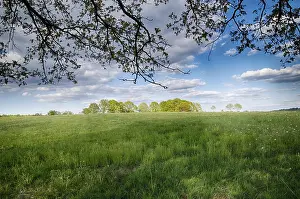 Uninhabited Countryside Scenes Prints: Landscape with trees in spring