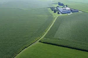 Bavarian Countryside Scenery Prints: Large corn fields surround a farm