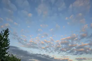 Cirrocumulus Clouds Prints: Large fleecy clouds (Altocumulus)