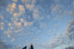 Overcast Sky In Germany Prints: Large fleecy clouds (Altocumulus)