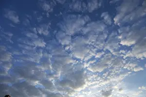 Clouds In Southern Germany Prints: Large fleecy clouds (Altocumulus)