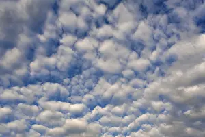 German Federal Republic Skyline Prints: Large fleecy clouds (altocumulus)
