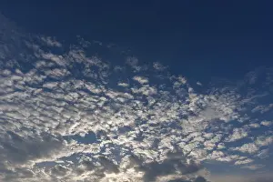 Full Frame Cloudy Sky Prints: Large fleecy clouds (Altocumulus)