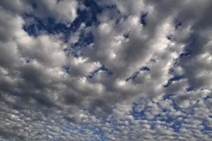 Cloud Formation In Europe Prints: Large fluffy clouds (Altocumulus)
