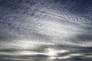 Cotton Wool Cloud Formation Prints: Large fluffy clouds, altocumulus