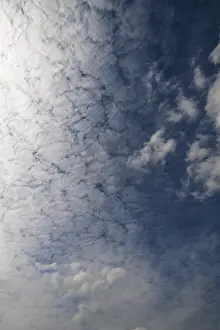 Cloud Formations Prints: Large fluffy clouds (Altocumulus)