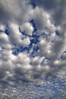 Bavaria Clouds Prints: Large fluffy clouds (Altocumulus)