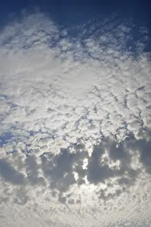 Cirrocumulus Cloud Formation Prints: Large fluffy clouds, altocumulus clouds