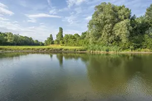 Water Reflection Photography Prints: A large pond is surrounded by trees and plants