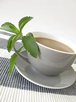 White Coffee Mug Prints: Latte with stevia