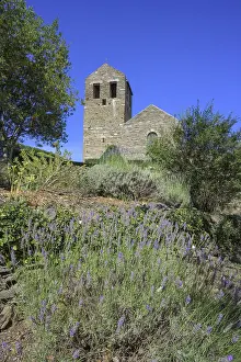 Lavender Fields France Prints: Lavender and behind it Prieure de Serrabone